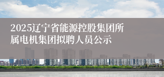 2025辽宁省能源控股集团所属电机集团拟聘人员公示