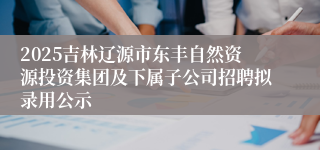 2025吉林辽源市东丰自然资源投资集团及下属子公司招聘拟录用公示