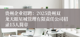 贵州企业招聘：2025贵州双龙天眼星城管理有限责任公司招录15人简章