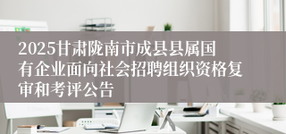 2025甘肃陇南市成县县属国有企业面向社会招聘组织资格复审和考评公告