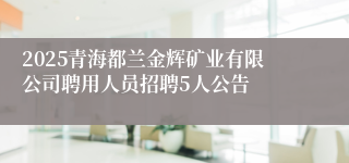 2025青海都兰金辉矿业有限公司聘用人员招聘5人公告