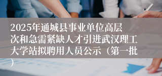 2025年通城县事业单位高层次和急需紧缺人才引进武汉理工大学站拟聘用人员公示（第一批）
