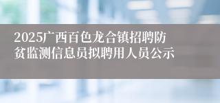 2025广西百色龙合镇招聘防贫监测信息员拟聘用人员公示