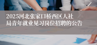 2025河北张家口桥西区人社局青年就业见习岗位招聘的公告