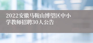 2022安徽马鞍山博望区中小学教师招聘30人公告