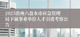 2025贵州六盘水市应急管理局下属事业单位人才引进考察公告