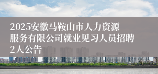 2025安徽马鞍山市人力资源服务有限公司就业见习人员招聘2人公告