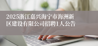 2025浙江嘉兴海宁市海洲新区建设有限公司招聘1人公告
