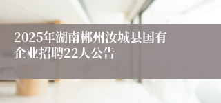 2025年湖南郴州汝城县国有企业招聘22人公告