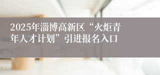 2025年淄博高新区“火炬青年人才计划”引进报名入口