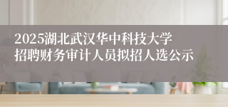 2025湖北武汉华中科技大学招聘财务审计人员拟招人选公示