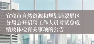 宜宾市自然资源和规划局翠屏区分局公开招聘工作人员考试总成绩及体检有关事项的公告