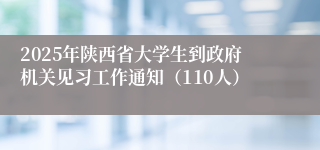 2025年陕西省大学生到政府机关见习工作通知（110人）