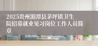 2025贵州湄潭县茅坪镇卫生院招募就业见习岗位工作人员简章