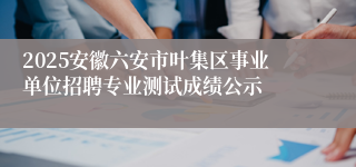 2025安徽六安市叶集区事业单位招聘专业测试成绩公示