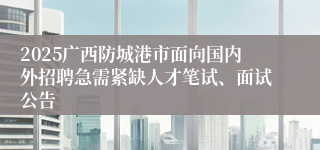 2025广西防城港市面向国内外招聘急需紧缺人才笔试、面试公告