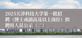 2025天津科技大学第一批招聘（博士或副高及以上岗位）拟聘用人员公示（二）