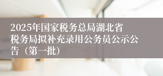 2025年国家税务总局湖北省税务局拟补充录用公务员公示公告（第一批）
