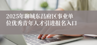 2025年聊城东昌府区事业单位优秀青年人才引进报名入口