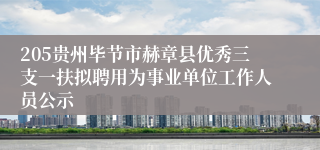 205贵州毕节市赫章县优秀三支一扶拟聘用为事业单位工作人员公示