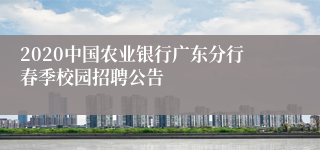 2020中国农业银行广东分行春季校园招聘公告