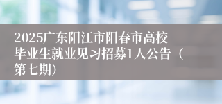 2025广东阳江市阳春市高校毕业生就业见习招募1人公告（第七期）