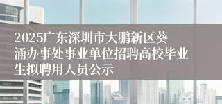 2025广东深圳市大鹏新区葵涌办事处事业单位招聘高校毕业生拟聘用人员公示