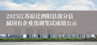 2025江苏宿迁泗阳县部分县属国有企业选调笔试成绩公示