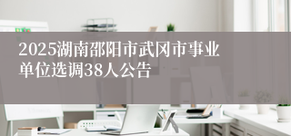2025湖南邵阳市武冈市事业单位选调38人公告