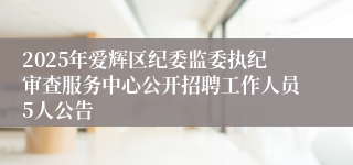 2025年爱辉区纪委监委执纪审查服务中心公开招聘工作人员5人公告