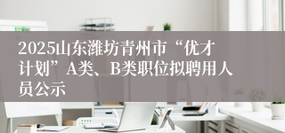 2025山东潍坊青州市“优才计划”A类、B类职位拟聘用人员公示