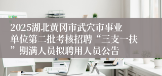 2025湖北黄冈市武穴市事业单位第二批考核招聘“三支一扶”期满人员拟聘用人员公告