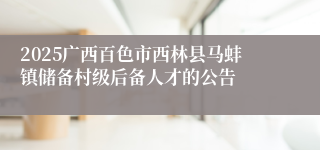 2025广西百色市西林县马蚌镇储备村级后备人才的公告