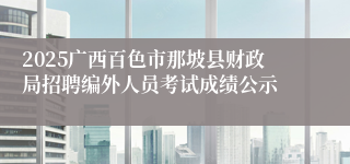 2025广西百色市那坡县财政局招聘编外人员考试成绩公示