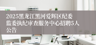2025黑龙江黑河爱辉区纪委监委执纪审查服务中心招聘5人公告