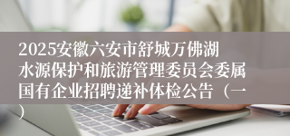 2025安徽六安市舒城万佛湖水源保护和旅游管理委员会委属国有企业招聘递补体检公告（一）