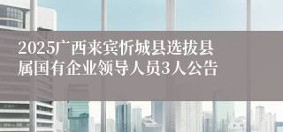 2025广西来宾忻城县选拔县属国有企业领导人员3人公告