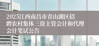 2025江西南昌市青山湖区招聘农村集体三资主管会计和代理会计笔试公告