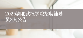 2025湖北武汉学院招聘辅导员3人公告