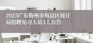 2025广东梅州市梅县区统计局招聘见习人员3人公告