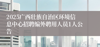 2025广西壮族自治区环境信息中心招聘编外聘用人员1人公告