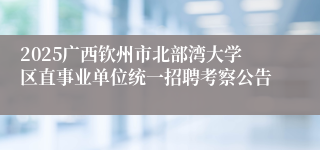 2025广西钦州市北部湾大学区直事业单位统一招聘考察公告