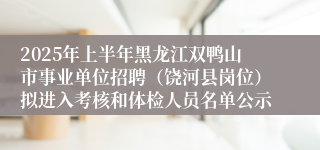 2025年上半年黑龙江双鸭山市事业单位招聘（饶河县岗位）拟进入考核和体检人员名单公示