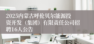 2025内蒙古呼伦贝尔能源投资开发（集团）有限责任公司招聘16人公告