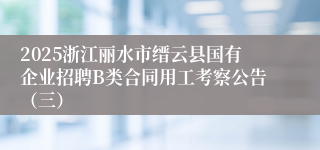 2025浙江丽水市缙云县国有企业招聘B类合同用工考察公告（三）
