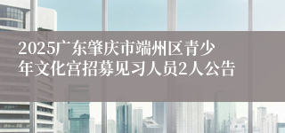 2025广东肇庆市端州区青少年文化宫招募见习人员2人公告