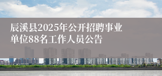 辰溪县2025年公开招聘事业单位88名工作人员公告