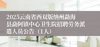 2025云南省西双版纳州勐海县勐阿镇中心卫生院招聘劳务派遣人员公告（1人）