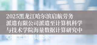2025黑龙江哈尔滨启航劳务派遣有限公司派遣至计算机科学与技术学院海量数据计算研究中心拟派遣人员公示