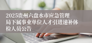 2025贵州六盘水市应急管理局下属事业单位人才引进递补体检人员公告